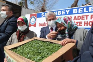Şahinbey Belediyesi 12.301.932 fide dağıtımını Sarıt Köyü’nde sürdürdü