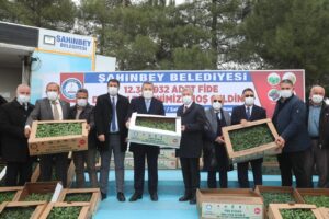 ŞAHİNBEY BELEDİYESİ’NDEN ÇİFTÇİLERE 12.301.932 FİDE
