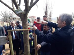 ŞAHİNBEY’DEN YEŞİL ŞEHİR REKORU