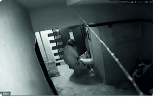 VİCDANSIZLAR GÖRME ENGELLİ KADINI SOYDULAR EMNİYET ENSELEDİ(Video Haber)