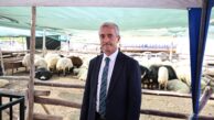 TAHMAZOĞLU’NDAN 3300 KONUT MÜJDESİ (Video Haber)