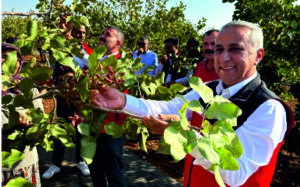 KIRSALDA TARLA İÇİ BASINÇLI SULAMA SİSTEMLERİNE DEV DESTEK