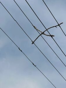 TEDAŞ EDAŞ’TAN BİR SANAT ŞAHASERİ