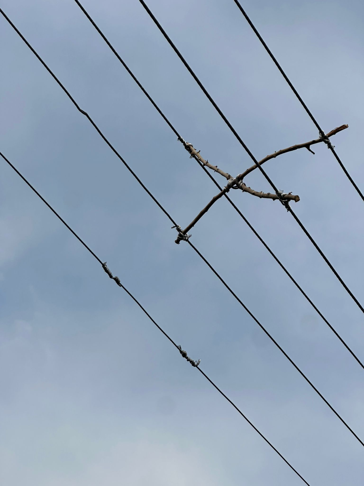 TEDAŞ EDAŞ’TAN BİR SANAT ŞAHASERİ