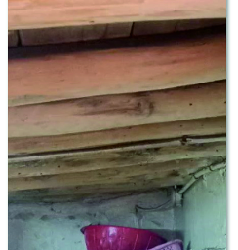 AŞIRI YAĞMUR ÇATILARDA ÇÖKME RİSKİ TAŞIYOR (Video Haber)