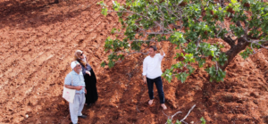 ALİ ŞAHİN:TARIM SİGORTALARI İHMAL EDİLMEMELİ