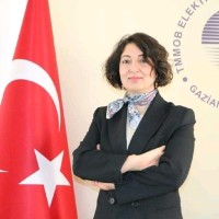 ARIKAN:ELEKTRİK ŞEBEKEMİZ BU DÖNÜŞÜME HAZIR MI?”